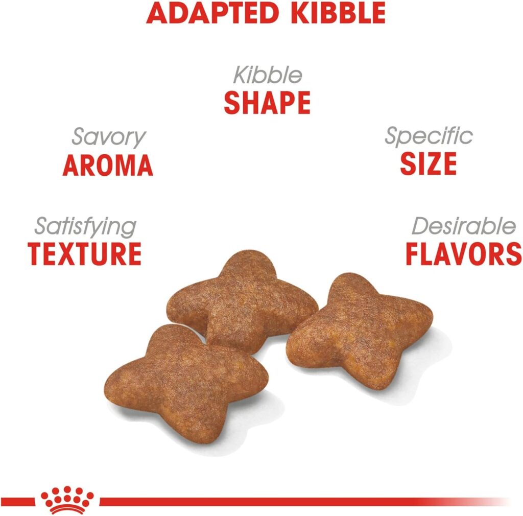 The Royal Canin Small Breed Adult Dry Dog Food 14 Lbs is designed for small dog breeds.