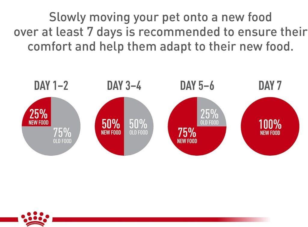 royal canin small breed adult dry dog food 14 lbs Transitioning process royal canin small breed adult dry dog food 14 lbs Transitioning process