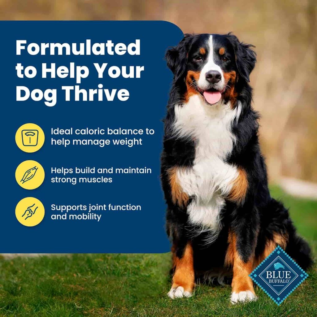 Blue Buffalo Dry Healthy Weight Dog Food 30 Lb achieve and maintain a healthy weight Blue Buffalo Dry Healthy Weight Dog Food 30 Lb achieve and maintain a healthy weight