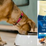 Blue Buffalo Senior Dry Dog Food