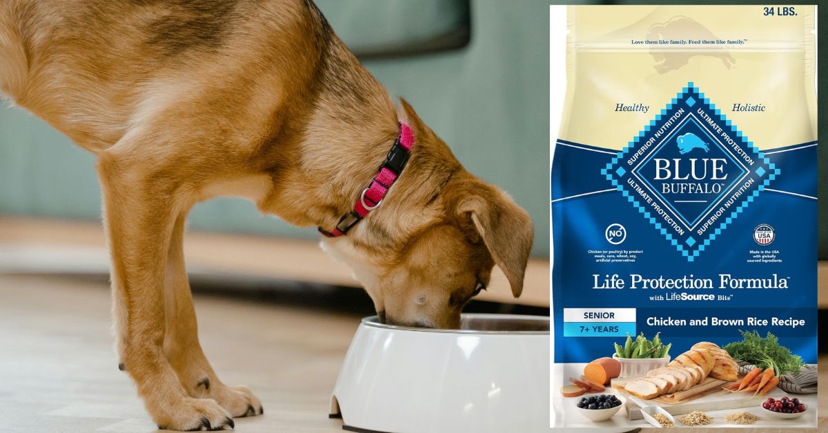 Blue Buffalo Senior Dry Dog Food