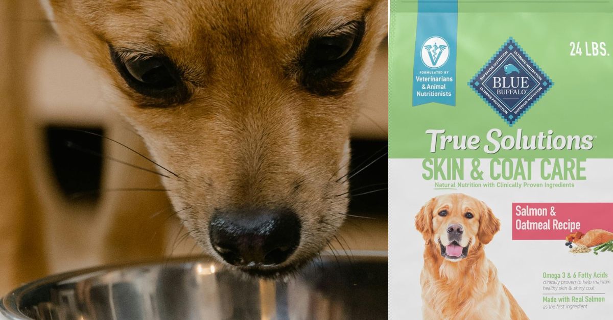 Blue Buffalo True Solutions Perfect Skin & Coat