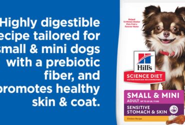 Hill's Science Diet Sensitive Stomach 15 lb bag – Small Bites Dry Dog Food for Small and Mini Breeds