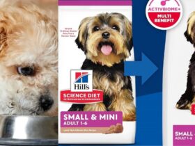 Hill's Science Diet Sensitive Stomach 30 lb – Large Breed Dry Dog Food for Sensitive Stomach and Skin