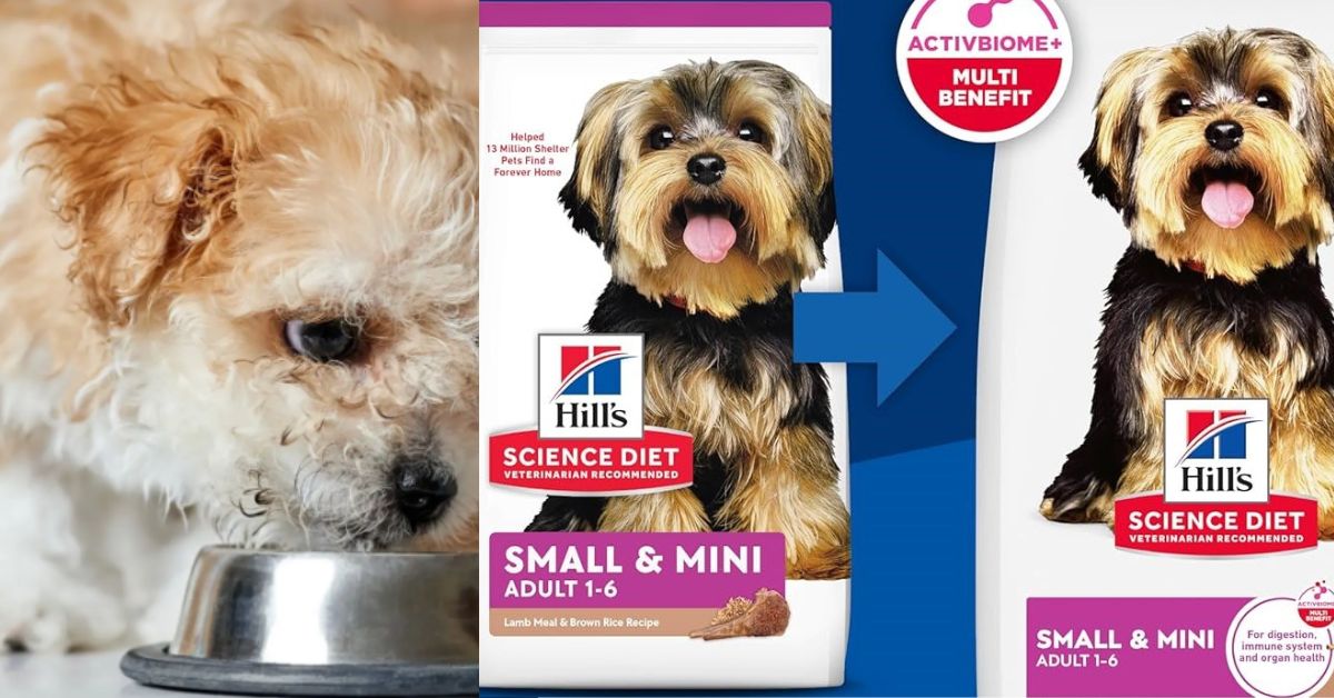 Hill's Science Diet Sensitive Stomach 30 lb – Large Breed Dry Dog Food for Sensitive Stomach and Skin