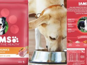 IAMS Lamb and Rice Minichunks Dog Food