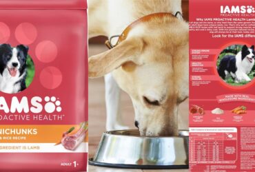 IAMS Lamb and Rice Minichunks Dog Food