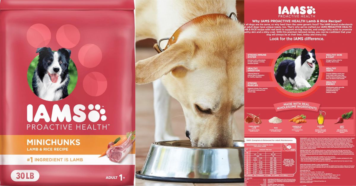 IAMS Lamb and Rice Minichunks Dog Food