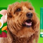 Iams Minichunks 30 lbs