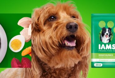 Iams Minichunks 30 lbs
