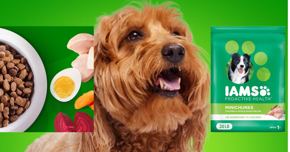 Iams Minichunks 30 lbs