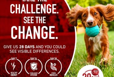 Purina ONE Natural, Sensitive Stomach Dry Dog Food, +Plus Skin & Coat Formula - 31.1 lb. Bag