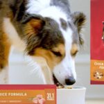 Purina One Chicken and Rice 31.1 lbs