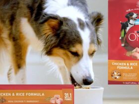 Purina One Chicken and Rice 31.1 lbs