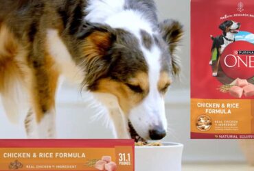 Purina One Chicken and Rice 31.1 lbs