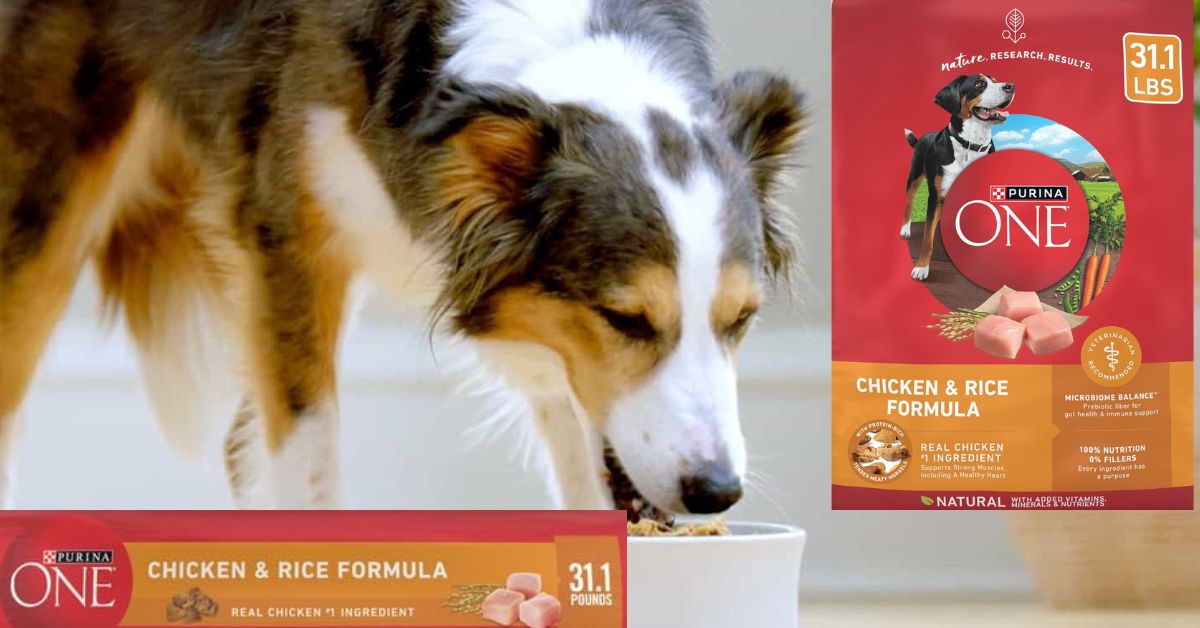 Purina One Chicken and Rice 31.1 lbs