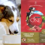 Purina One Lamb And Rice 31.1 Lbs