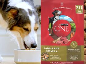 Purina One Lamb And Rice 31.1 Lbs