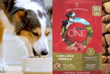 Purina One Lamb And Rice 31.1 Lbs