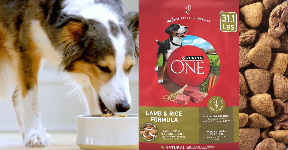 Purina One Lamb And Rice 31.1 Lbs