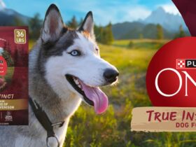 Purina One True Instinct Dog Food