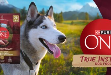 Purina One True Instinct Dog Food