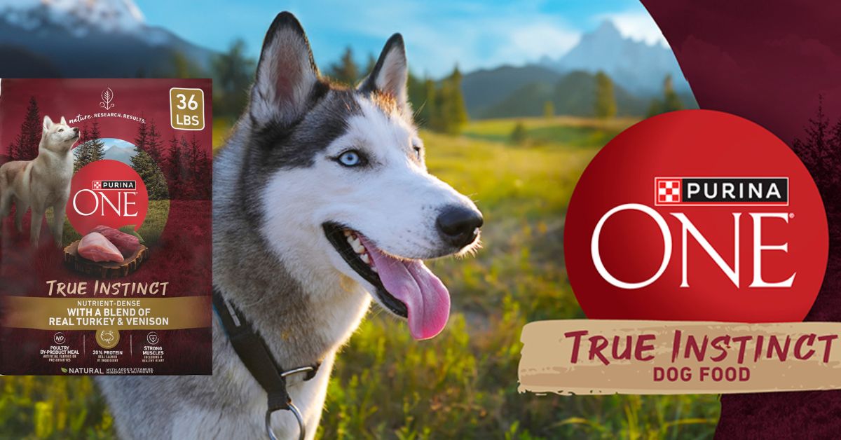 Purina One True Instinct Dog Food