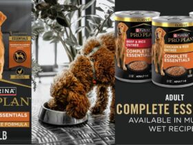 Purina Pro Plan Chicken and Rice 47 LB