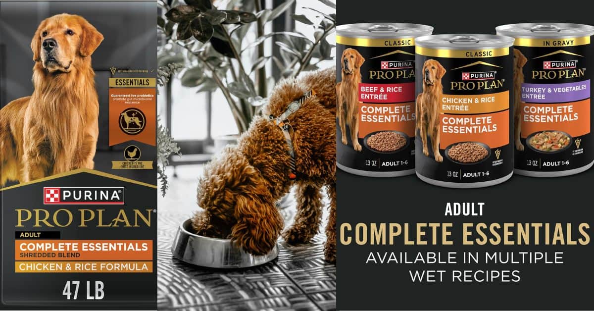 Purina Pro Plan Chicken and Rice 47 LB