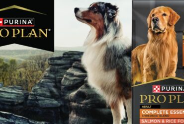 Purina Pro Plan Complete Essentials Salmon And Rice 33 LB