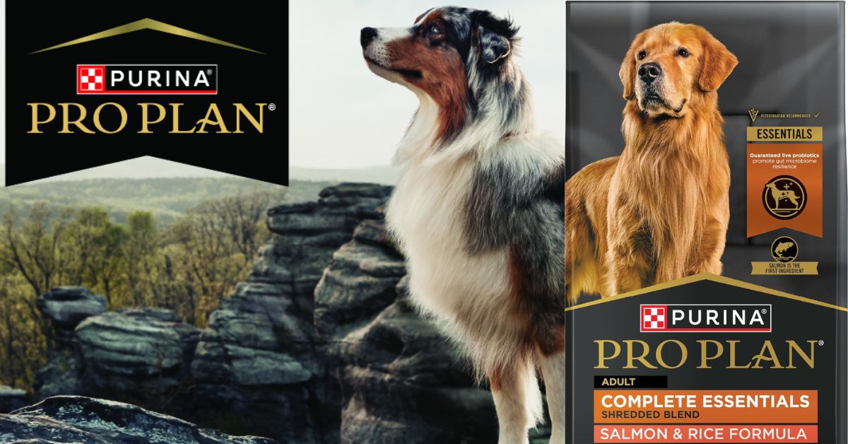 Purina Pro Plan Complete Essentials Salmon And Rice 33 LB