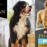Purina Pro Plan Large Breed Puppy