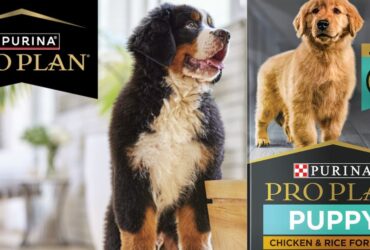 Purina Pro Plan Large Breed Puppy