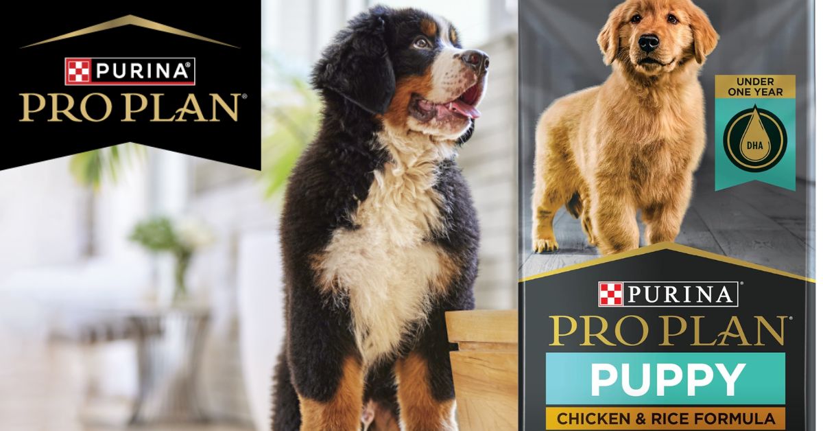 Purina Pro Plan Large Breed Puppy