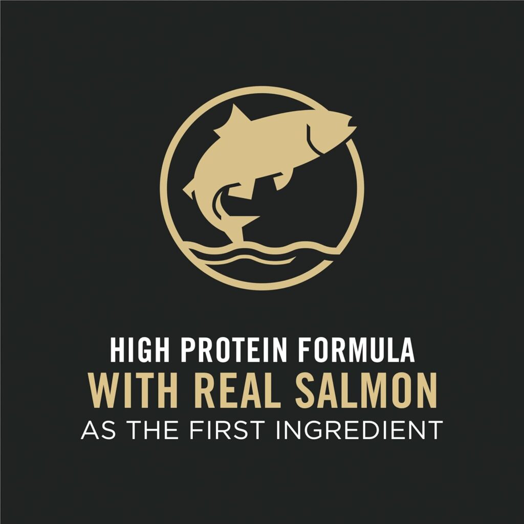 Salmon is the first ingredient in this high protein dry cat food for skin and coat care Purina Pro Plan Liveclear Salmon And Rice 7 lb Cat Food