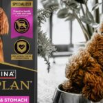 Purina Pro Plan Sensitive Skin and Stomach 40 LB