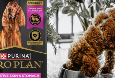 Purina Pro Plan Sensitive Skin and Stomach 40 LB