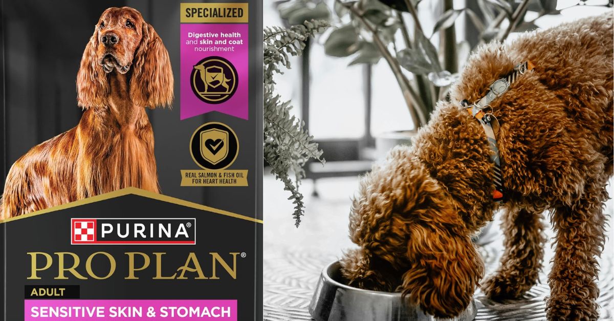 Purina Pro Plan Sensitive Skin and Stomach 40 LB