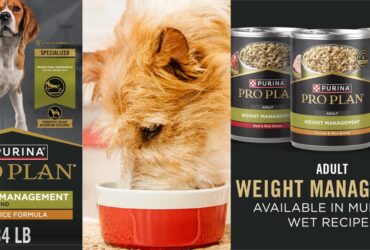 Purina Pro Plan Weight Management 34 Lb