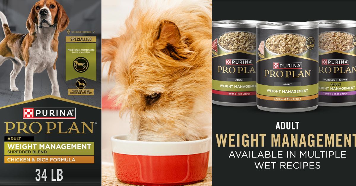 Purina Pro Plan Weight Management 34 Lb