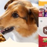 Rachael Ray Dog Food 40