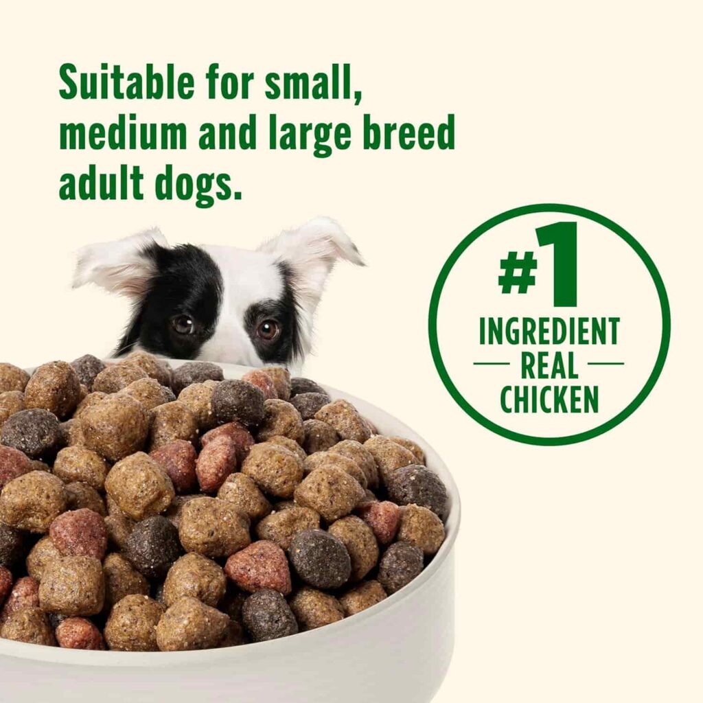 Rachael Ray chicken and veggies dog food, Target Dog Breeds Rachael Ray chicken and veggies dog food, Target Dog Breeds