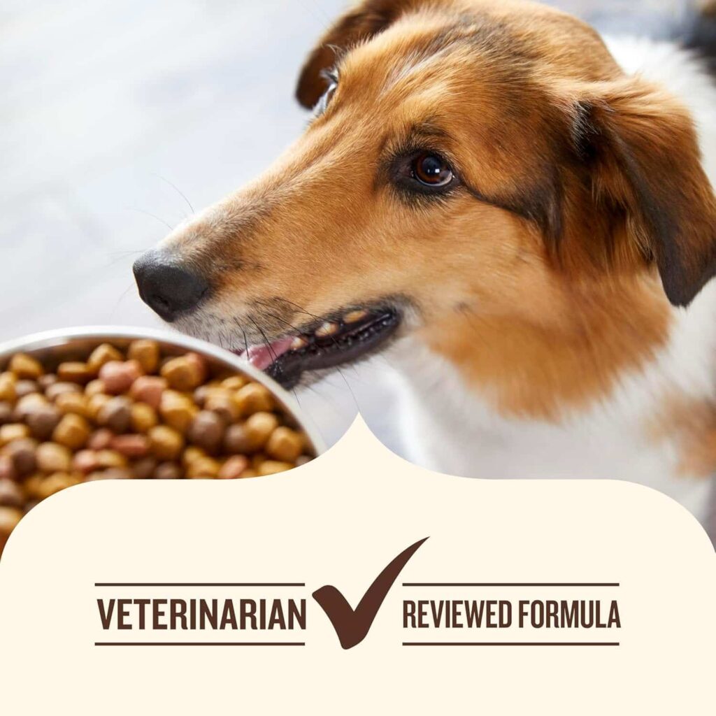 Rachael Ray chicken and veggies dog food Expert Opinions Rachael Ray chicken and veggies dog food Expert Opinions