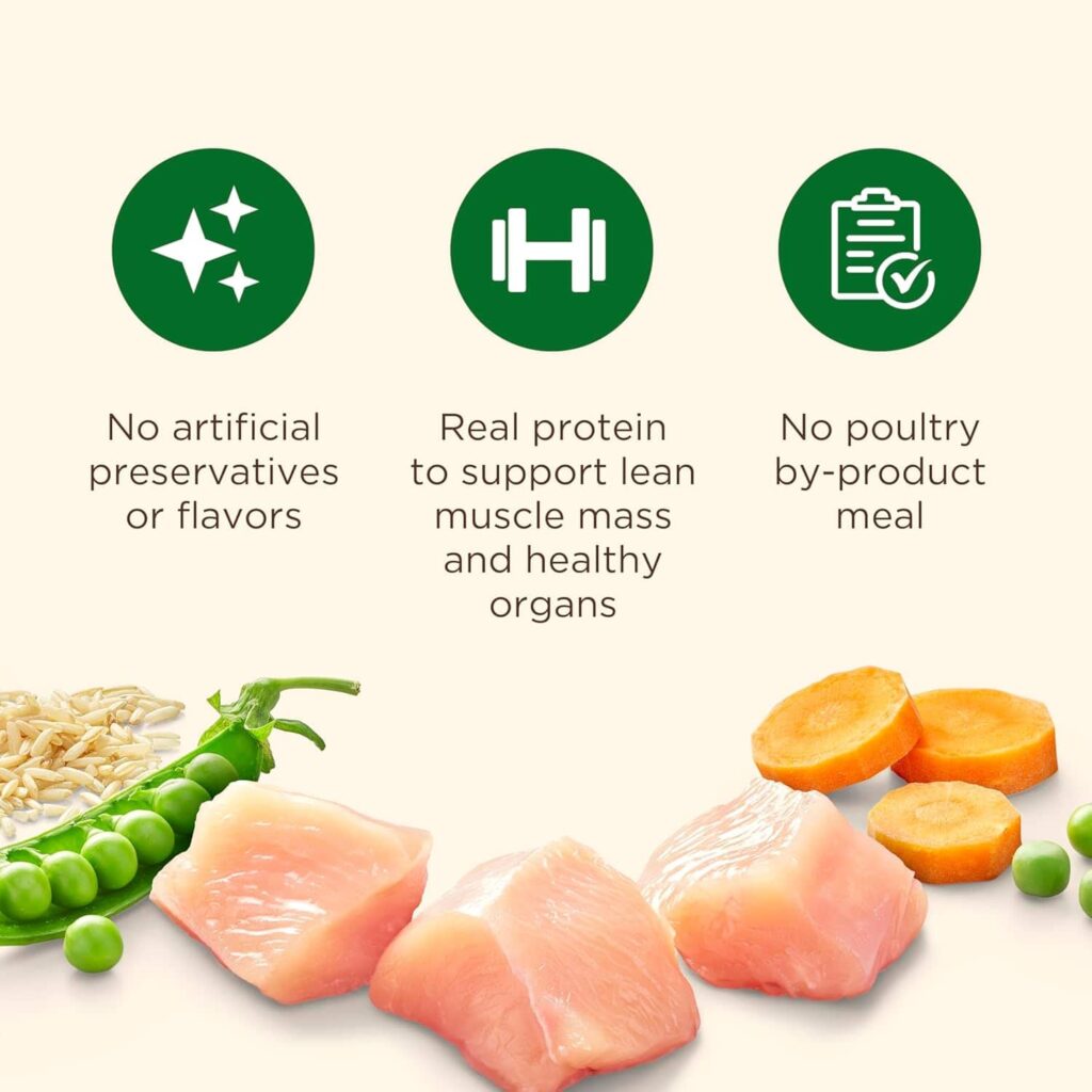 Rachael Ray chicken and veggies dog food: Positive Feedback Rachael Ray chicken and veggies dog food: Positive Feedback