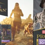 Sports Dog Food With High Protein