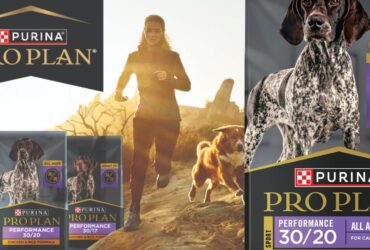 Sports Dog Food With High Protein