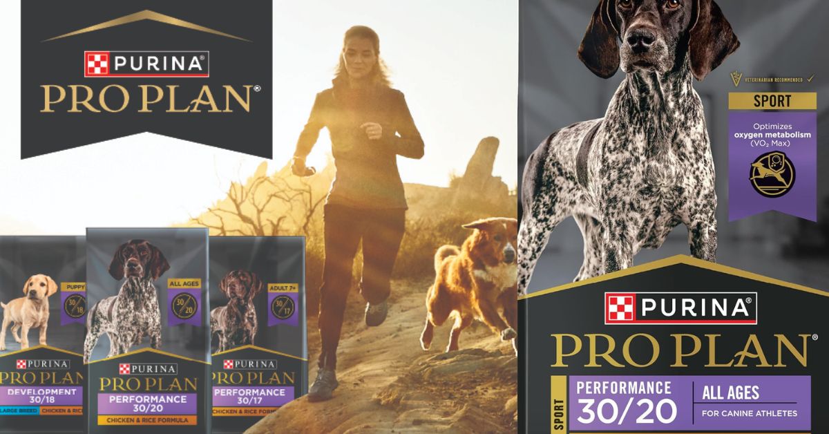 Sports Dog Food With High Protein