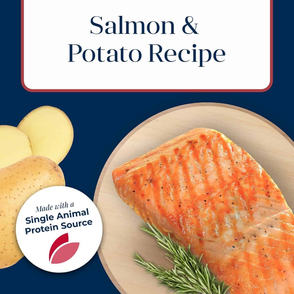 This Blue Buffalo dry dog food is made with real, high-quality salmon as the #1 ingredient blue buffalo dog food salmon and sweet potato are Key Ingredients