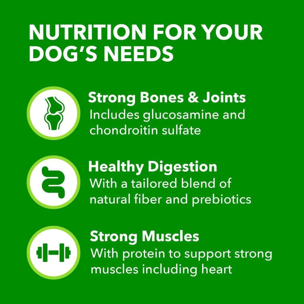 iams high protein dog food important nutritions for dog