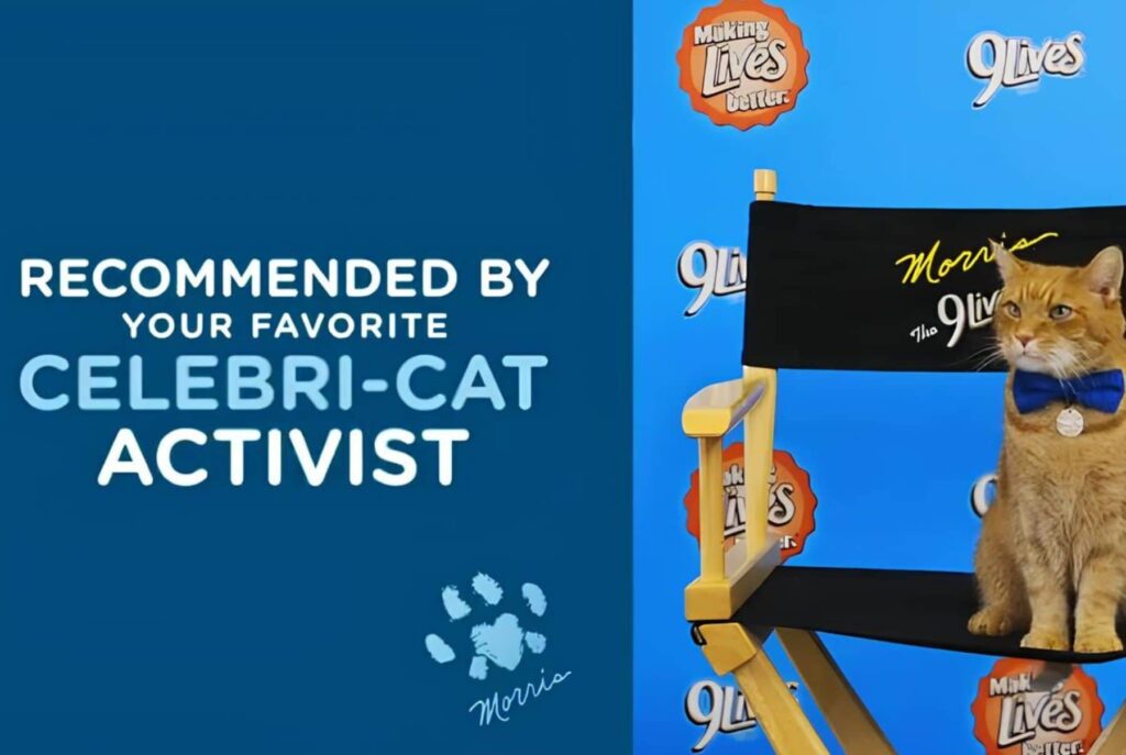 9Lives Daily Essentials cat food 28 Lbs Expert Opinions 9Lives Daily Essentials cat food 28 Lbs Expert Opinions